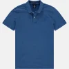 Garment Dye Whip Polo-Gaastra Fashion