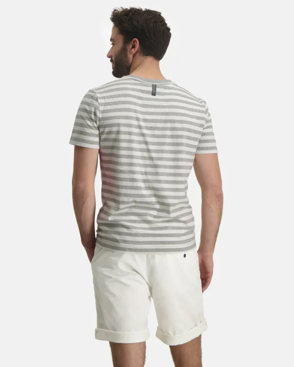 Klassiek Gestreepte Williamson T-Shirt-Gaastra Online