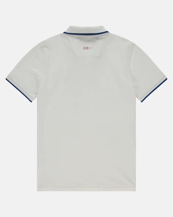 Wishbone Polo-Gaastra New